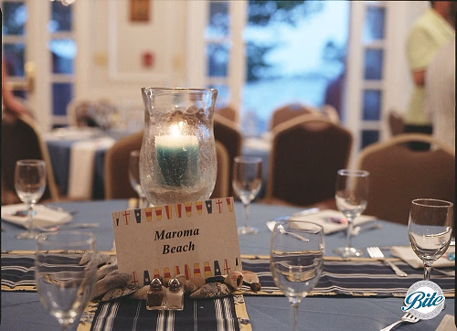 Table Setting with Runners