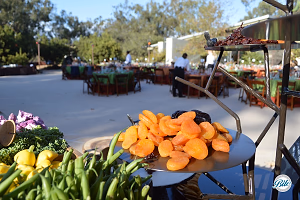 Fruit and Vegetable Station - Grow Your Garden