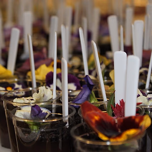 Dessert - Chocolate 2 - TreePeople