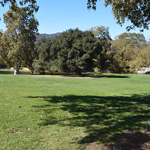 Courtyard View 3- King Gillette Ranch