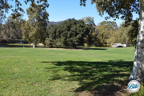 Courtyard View 3- King Gillette Ranch