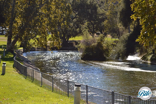 Lake 2 - King Gillette Ranch