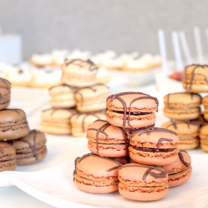 Chocolate Drizzled French Macaron