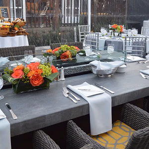 Adult Birthday Party Set-Up in Client Backyard