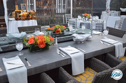 Adult Birthday Party Set-Up in Client Backyard