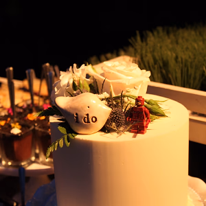 Beautiful dessert display with a small cake cutting cake