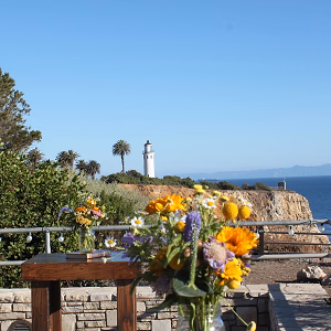 Daytime view of the lighthouse from the outdoor lounge area