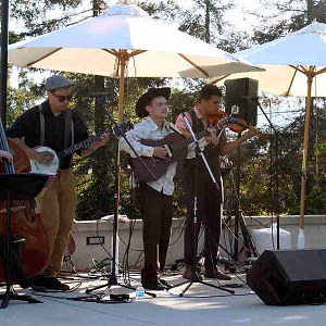 Bluegrass band playing by the pool