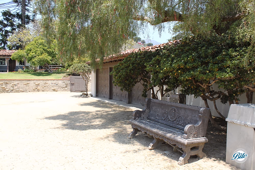 Garage and Carved Bench