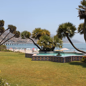 Back Lawn with Fountain