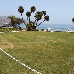 Back lawn with view of beach
