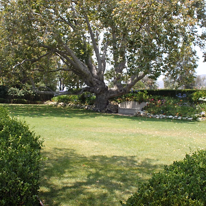 Lower Meadow @ Adamson House