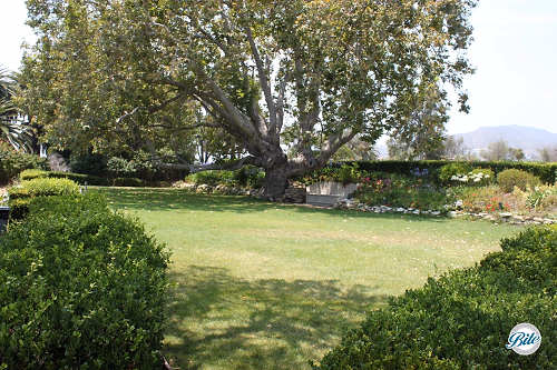 Lower Meadow @ Adamson House