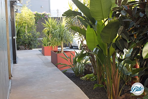 Entryway from Parking Lot @Millwick