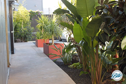 Entryway from Parking Lot @Millwick