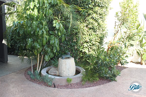 Fountain in the Courtyard @ Millwick