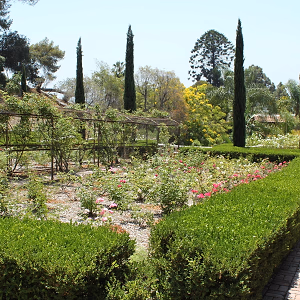 Rose Gardens @ Wattles Mansion