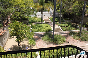 Garden View from Second Floor @ Wattles Mansion