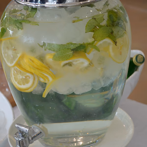 Lemon-Cucumber Mint Spa Spring Water