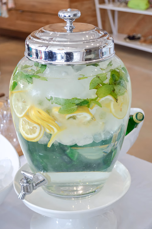 Lemon-Cucumber Mint Spa Spring Water