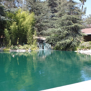 Pond with mini waterfall @ Grace Simons Lodge