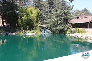 Pond with mini waterfall @ Grace Simons Lodge