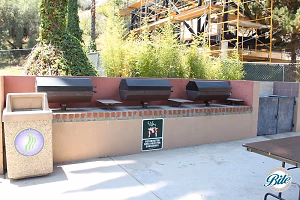 BBQ Area @ Grace Simons Lodge