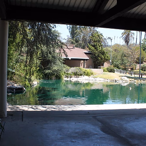 View of lodge across pond from patio @ Grace Simons Lodge