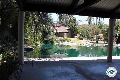 View of lodge across pond from patio @ Grace Simons Lodge