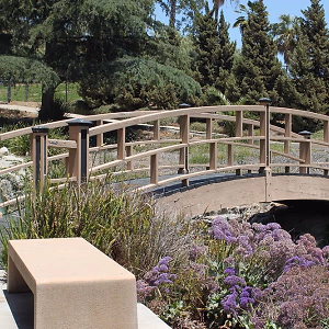 Picturesque Wooden Bridge @ Grace Simons Lodge