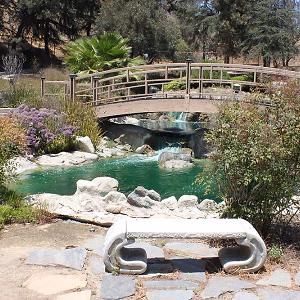 Bridge over brook @ Grace Simons Lodge