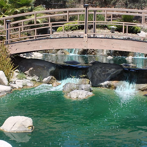 Closeup of bridge over the flowing brook @ Grace Simons Lodge