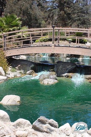 Closeup of bridge over the flowing brook @ Grace Simons Lodge
