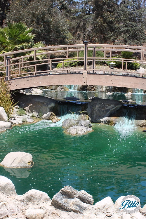 Closeup of bridge over the flowing brook @ Grace Simons Lodge