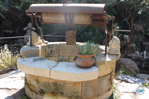 Wishing Well @ Houdini Estate