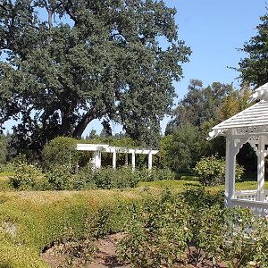 Gazebo and gardens @ Orcutt Ranch