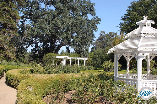 Gazebo and gardens @ Orcutt Ranch