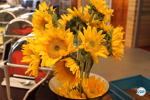 Sunflowers Brighten the Buffet
