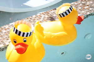 Rubber Duckys In Black/ White Stripes