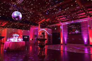 Dance floor w/ disco ball @ At the P