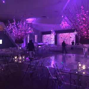 Striking Floral Displays and Mood Lighting in Unici Casa