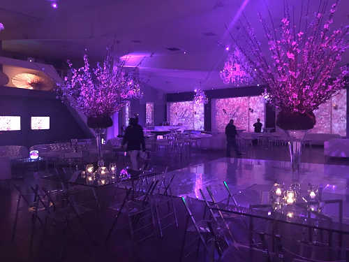 Striking Floral Displays and Mood Lighting in Unici Casa