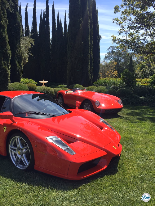 Exotic Cars on lawn