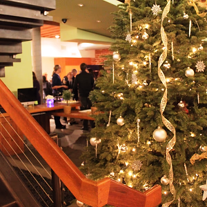 Christmas Tree Under Stairs