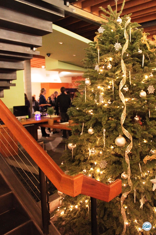 Christmas Tree Under Stairs