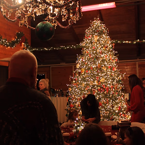 Christmas Tree at Holiday Party