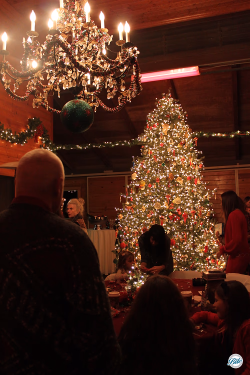 Christmas Tree at Holiday Party