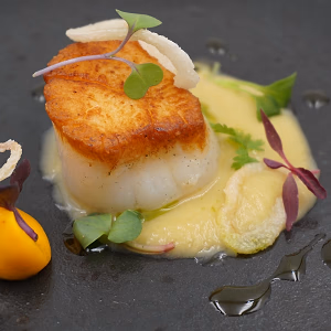 Olive Oil Poached Scallop