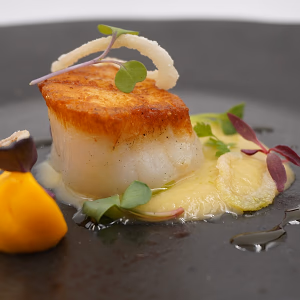Plated Poached Scallop