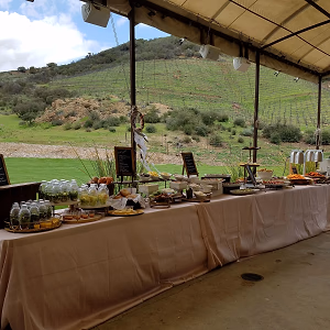 Beautiful Outdoor Buffet in Vineyard